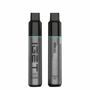 Mint Ice 5500 Puffs Disposable Vape